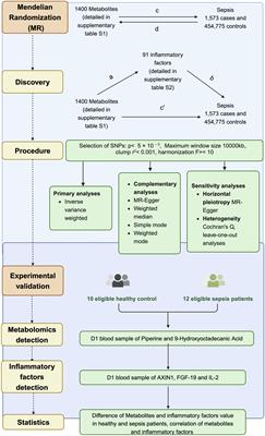 Dissecting the mediating role of inflammatory factors in the interaction between metabolites and sepsis: insights from bidirectional Mendelian randomization